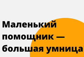 Маленький помощник – большая умница Маленький помощник – большая умница