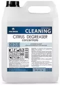 Фото товара: Citrus Degreaser Concentrate Универсальный обезжиривающий концентрат (до 1:30) против масложировых и атмосферно-почвенных загрязнений